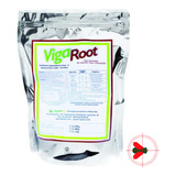 Vigaroot Fert Enraizador Mudas Gramados Flores Rgtec 2x500g