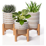 Set Of 3 Mini Plant Stands With Pots - 3 Small Mid Cent...