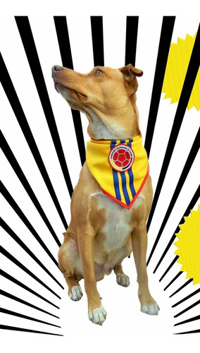 Pañoleta De Lujo Perros - Selección Colombia