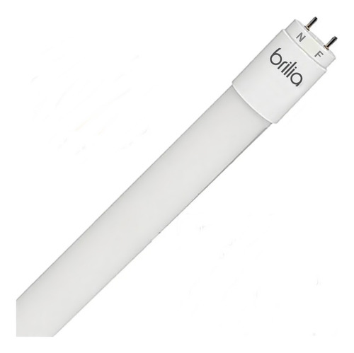 Lampada Tubo Led T8 10w 60cm Branco Frio Policarbonato 5 Pçs