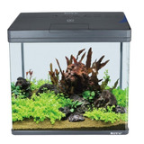 Acuario Boyu Ms420 31lts Leds 40x23x45 Boyu 