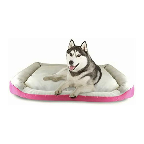 Fancy Pets Cama Rizzo Para Perro Color Rosa Tamaño Mediana