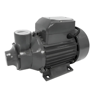 Electrobomba Perisférica 1 Hp 750w Kushiro Bp80c Color Negro | Envío gratis