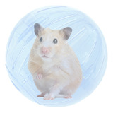Bola Acrílica Hamster Roedores Exercício Savana G 14,5cm