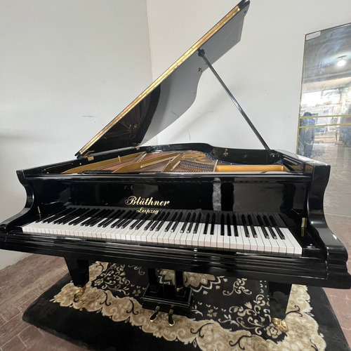 Piano De Cauda Blüthner Preto Alto Brilho