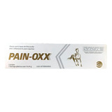 Pasta Oral Pain-oxx Seringa De 14,64g Anti-inflamatória