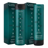 Shampoo Fidelité Caviar Cabellos Grasos Cabello Grasos En Pote De 520ml Por 1 Unidad