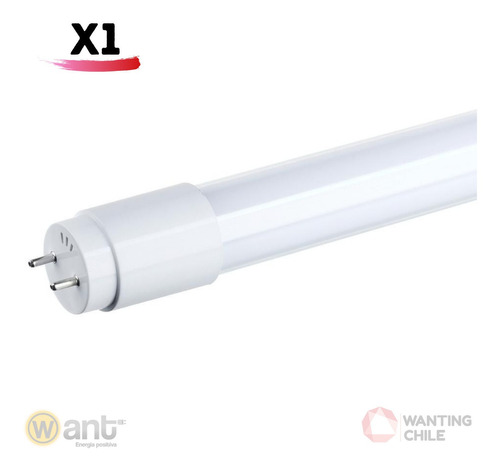 Tubo Led T8 9w 60cms Vidrio 900lm Want 2 Años Garantía 