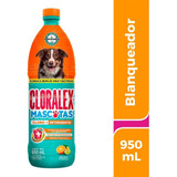 Limpiador Cloralex Mascotas Exterior 950 Ml Caja Con 15 Pza