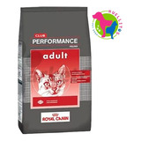 Royal Canin Club Performance Cat X 1.5kg- E/g Z/o Huellitas 