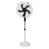 Ventilador De Pie Tivoli 20´ Vpo-205 C/timer