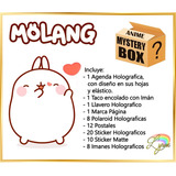 Molang Caja Misteriosa Mystery Box Anime Kawaii