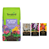 Combo Terrafertil Plantas De Flor 20 L + 3 Semillas Flores