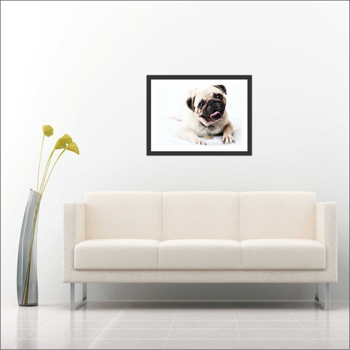 Quadro Animais Pug Cão Pet Decoração Com Moldura T5