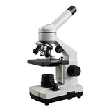 Microscopio Con Luces Superiores E Inferiores