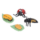 Figuras De Lady Bug Toy Life Cycle Con Forma De Mariquita De