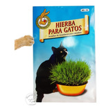 Semillas Hierba Gatos Y Perros - Aporte Nutricional - Parque