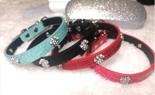 Collar Perro Cuerina Patitas Brillantes Colores A Elección 