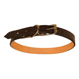 Collar Para Perros De Cuero Labrado Últimos