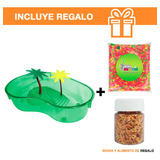 Kit Tortuguero Verde Equipado + Alimento Y Grava De Regalo