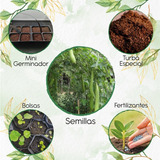 15 Semillas De Planta Luffa Cylindrica + Kit De Germinación