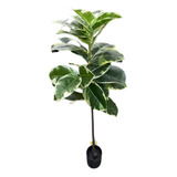 Fícus Elástica Artificial Planta Grande Decoração Sala 135cm