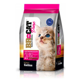 Concentrado Gato Br For Cat Pure Gatitos 3kg 300100013