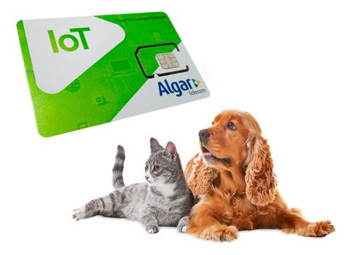 Chip M2m Algar P/ Rastreador Pet Gps Coleira Animal Gato Cão