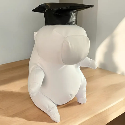 Capibara De Peluche Para Pintar Dedicatorias De Graduacion | Meses sin interés