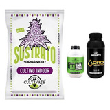 Sustrato Cultivate Indoor 25lt Con Amazonia Oro Negro 500ml