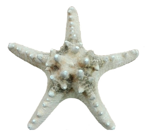 Estrella De Mar Caracol Marino Concha Pez Pecera Baño