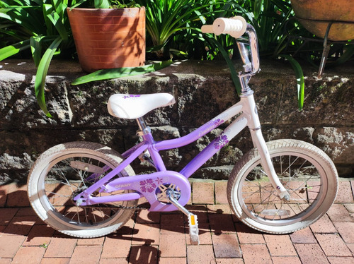 Bicicleta Giant Niña 5 A 9 Años