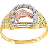 Anillo Caballero Herradura Con Caballo Oro 10 K