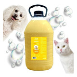 Shampoo Barato Para Cães E Gatos Banho Higiene Pet 5 Litros