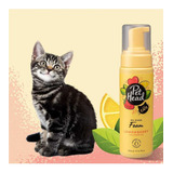 Pet Head Espuma Sin Enjuague Para Gato Lemonberry 200 Ml