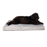 Cama Perro Mascota Pet2go® 100% Lavable Colchoneta Xg 110x75