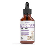 Vitaminas Prenatales Para Perros | Vitaminas Prenatales Para