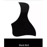 Protector Guitarra Pick Guard Black Bird Mica Protectora