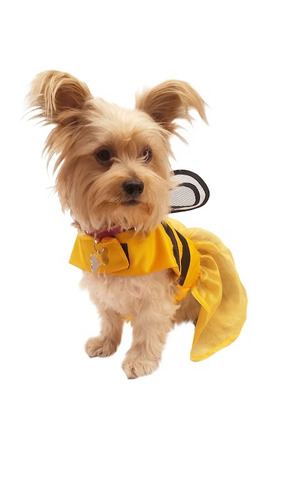 Disfraz Abeja Perro Halloween Talla 4 Mascota Pet Pals