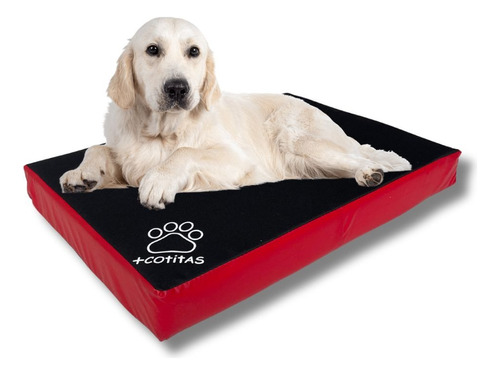 Camas para perros orders con artrosis