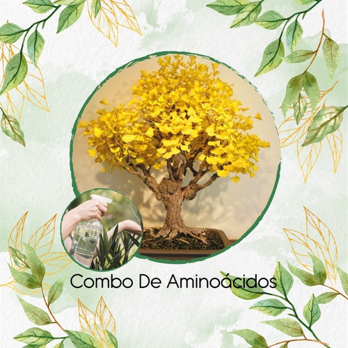 Combo Aminoácidos Concentrado Para Bonsái Guayacán Amarillo