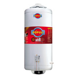 Termotanque Ecotermo Gas Natural Populi 70 Superior *