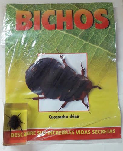 Bichos - Cucaracha China  + Fasiculo - Rba