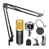 Microfono F800 35 Srteaming Podcast Radio + Accesorios  