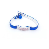 Chapita Gato+ Collar 1 Cm No Elastizado Azul Brillante