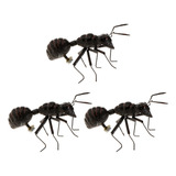 Simulación Hormigas Juguetes Vivero Material Didáctico