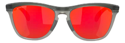 Lentes De Sol Oakley Frogskins Prizm  Gris