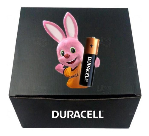 Pilha Alcalina Duracell Palito Aaa Caixa Kit 12