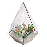 Terrario Onix Grande Con Plantas Naturales 27,5cm X 21.5cm.