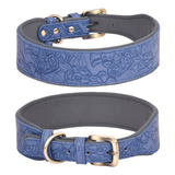 Collar Para Perros (m-bl), Modern - Unidad a $53522